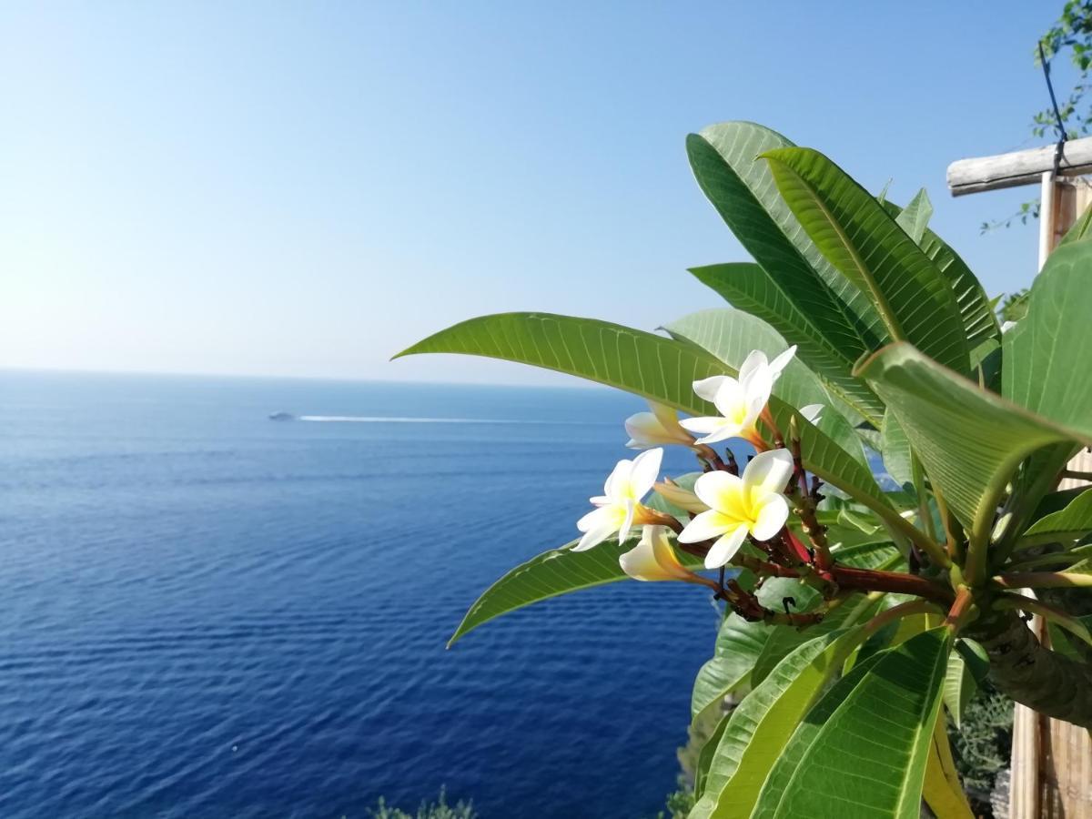 普莱亚诺Sea Side Solandra公寓 外观 照片